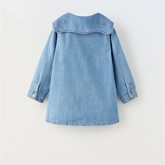 DENIM EMBROIDERED DRESS - Picture 2 of 3